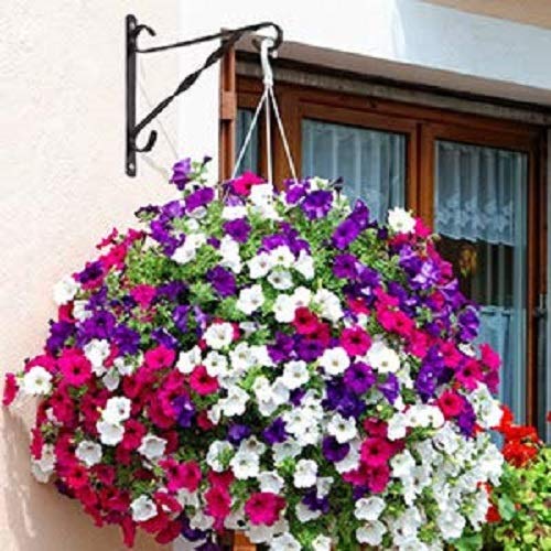 AMAGABELI GARDEN & HOME 4 Pack Hanging Plant Brackets Outdoor 10 inch Metal Fence Wall Plant Hanger Hooks for Hanging Flower Baskets Bird Feeders Lanterns Wind Chimes Rust-Resistant Black - size: 10 Inch, style: 4-Pack Twist Hook 2