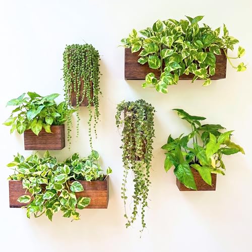 LaLaGreen Wood Planter Box for Plants (6 Pack) Wooden Hanging Wall Planters for Indoor Plant Holder Vase for Dried Flowers, Modern Farmhouse Wall Decor Living Room Bedroom Kitchen Office Home Garden - size: 6-pc Set A