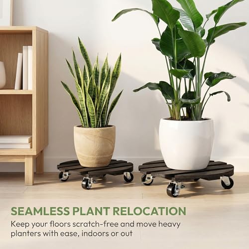 ZXZYHFTY Round Wooden Plant Stand with Wheels, 2 Packs Rolling Plant Stand with 360°Lockable Wheels for Vertical Garden Towers, Vertical Planting Tanks, Plant Pots, Wastebaskets (Black, 12") - color: Black, size: 12"