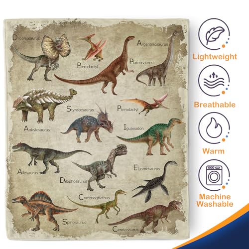Aimego Dinosaur Blanket Gifts for Boys Kids Dino Jurassic World Educational Gifts for Toddler Dinosaur Lovers Children Baby Girls Birthday Christmas Throw Blankets 50"x60" - color: Dinosaur