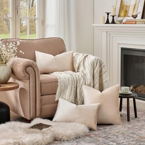GIGIZAZA 12x20 Lumbar Pillow Covers: Pack of 2 Champagne Beige Throw Pillows Super Soft Velvet Covers - Decorative Vintage Rectangle Solid Elegant Cushion Covers Used for Couch,Living Room - color: Champagne, size: 20" x 12" (Pack of 2)