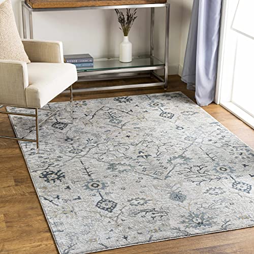 Hauteloom Octavia Living Room, Bedroom Area Rug - Floral Medallion Distressed Border Botanical - Traditional Oushak Oriental Transitional Turkish - Medium Gray, Beige, Taupe, Gray, Cream - 2' x 2'11" - color: Medium Gray, Beige, Taupe / Barkisland, size: