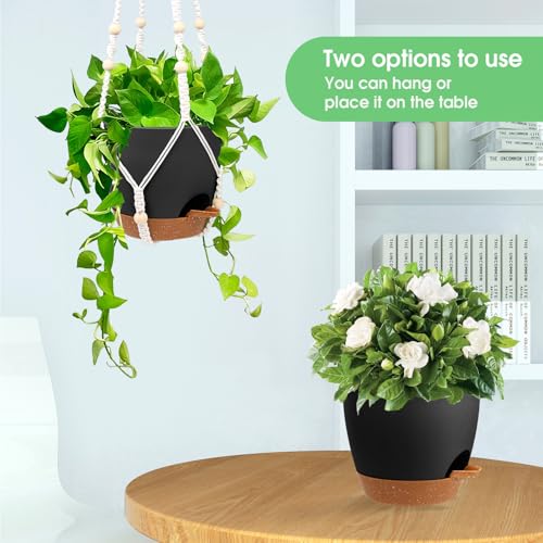 Vanslogreen Hanging Planters for Indoor Outdoor Plants, 2 Pack Self Watering Hanging Pots, Hanging Plant Baskets with Drainage Holes & 2 Types of Plant Hangers (Black, 6'') - color: Black+black, size: 6''