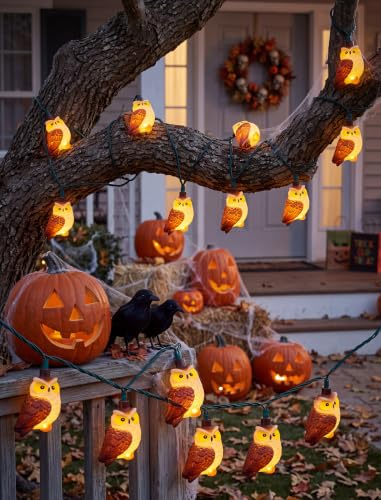 8.5ft Owl Christmas Outdoor String Lights with 10 LED Bulbs, Shatterproof Fairy Lights Plug in for Xmas - color: Multicolor Owl