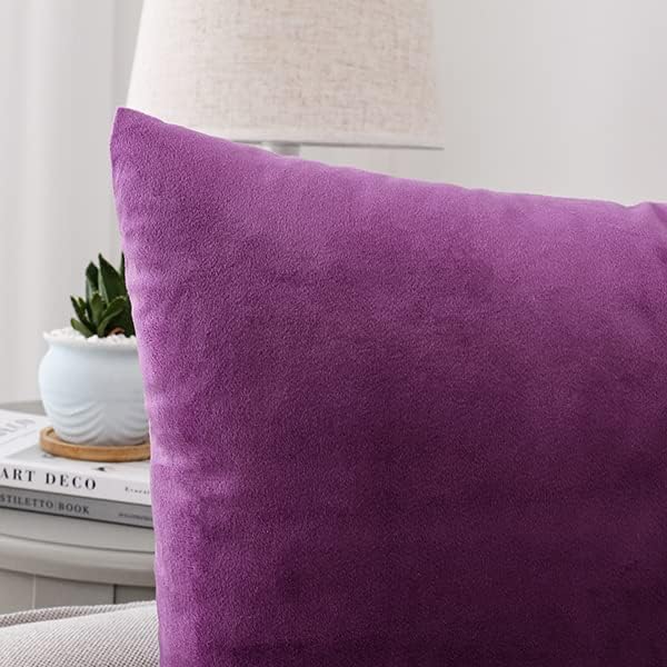 NiNi ALL Decorative Throw Pillow Covers Velvet 24x24 Inch Pack of 2 Purple Cushion Covers Soft for Couch Sofa Bedroom Living Room Outdoor