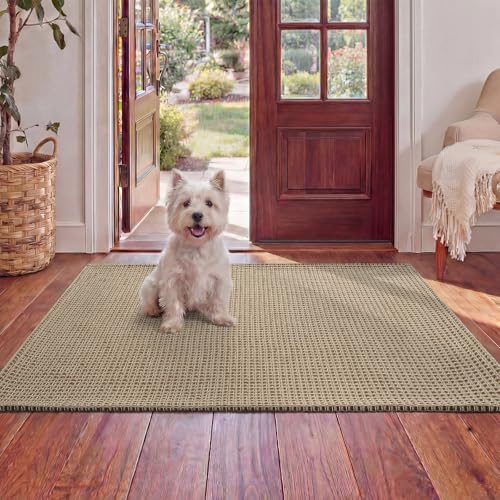 Washable 2x3 Entryway Rug, Door Mat Indoor Entrance, Non Slip Kitchen Rug, Boho Woven Small Rugs,Low Pile Front Door Mats for Laundry, Living Room Bedroom Farmhouse Decor (2'x3', Brown) - color: Brown, size: 2' x 3'