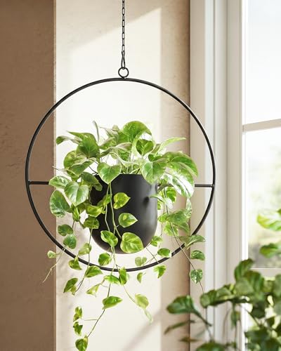 Bamworld Black Hanging Planters for Indoor Outdoor Plants Metal Hanging Pots for Plants 5.5 Inch Modern Hanging Basket Window Plant Hanger Ceiling Hanging Flower Pot with Chain for Wall Decor (Round) - size: Round - 5.5in