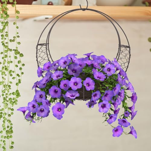 Angoily Moon Shape Wire Wreath Hanging Basket 11.02 Inch S Shape Plant Holder for Indoor Outdoor Patio Garden Succulents Flowers Decor