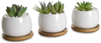 6pcs 3 inch Bamboo Round Plant Saucer, Mini Flower Pot Tray for Cactus Plant Pot Flower Pot Container Planter Bonsai Pots,no Plants Pot