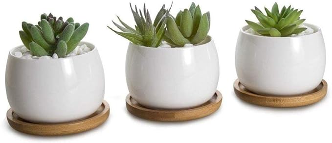 6pcs 3 inch Bamboo Round Plant Saucer, Mini Flower Pot Tray for Cactus Plant Pot Flower Pot Container Planter Bonsai Pots,no Plants Pot