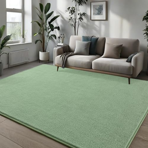 Pettop 4x6 ft Light Green Area Rugs for Bedroom Living Room, Washable Memory Foam Indoor Carpet, Modern Aesthetic Minimalist Non Slip Soft Comfy Carpet for Boys Girls Dorm Home Decor - color: Light Green, size: 4' X 6' (Rectangular)