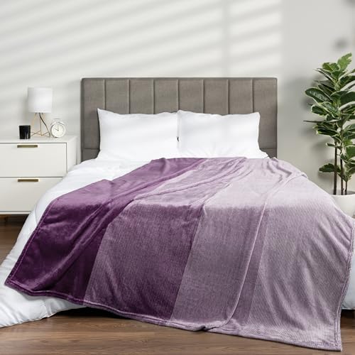 PAVILIA Flannel Fleece Ombre Throw Blanket for Couch | Super Soft Cozy Microfiber Sofa Blanket | Gradient Decorative Accent Throw, Twin Size Blanket | All Season, 60x80 Inches Purple Lavender - color: Gradient - Purple, size: 60 x 80 Inches - Twin