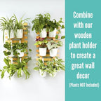 LaLaGreen Hanging Planters - 10 Pack, 4 Inch Balcony Railing Hanging Herb Garden Wall White Metal Bucket Fence Planter for Outdoor Plants Flower Pot Deck Rail Porch Window Box Hooks Macetas Colgante - size: 4 Inch (White)