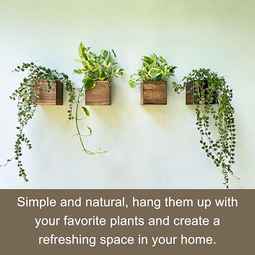 LaLaGreen Wood Planter Boxes for Indoor Plants (4x4 Inch, 6 Pack) Small Square Wall Mounted Planters Flower Pot, Herb Wooden Box Hanging Plant Holder Outdoor Balcony Vertical Garden Modern Home Decor - size: 4x4" x 6 pack