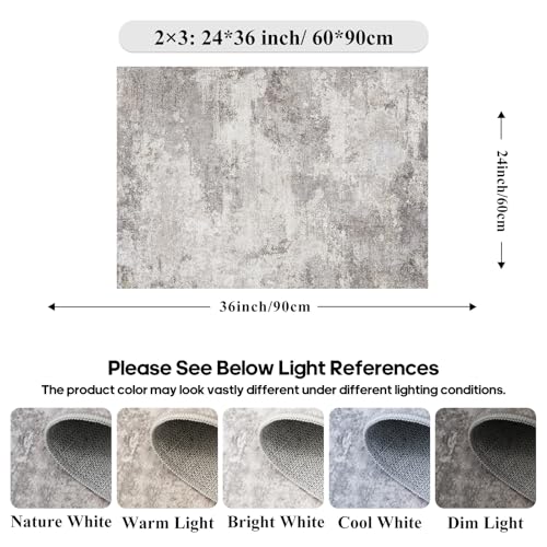 Modern Abstract 2x3 Rug Washable Non-Slip Small Area Rug for Bathroom Sink Kitchen Bedside - Soft Low-Pile Doormat for Entryway Laundry Room Decor 2x3 Grey - color: Grey01, size: 2' x 3' (Rectangular)