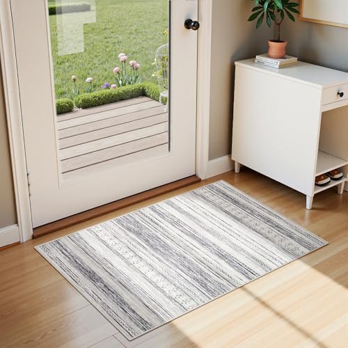 Tortania Area Rug Living Room Rugs - 2x3 Washable Soft Neutral Boho Moroccan Farmhouse Mat Indoor Floor Carpet for Bedroom Hallway Entryway Kitchen Home Office Decor - Grey - color: Grey, size: 2' x 3' (Rectangular)
