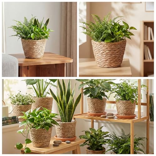 4 Pcs Straw Plant Baskets Indoor Rattan Woven Flower Baskets with Plastic Liner, Cattail Plant Planter for Indoor Outdoor Rustic Boho Home Farmhouse Floor Potted Pots Decor - color: Natural, size: S(6.3" Top D X 4.3" Bottom D X 4.3"h), style: Cattail