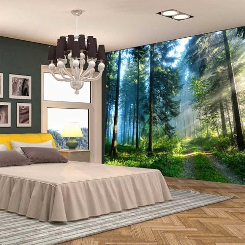 Aidatain Misty Forest Tapestry Wall Hanging Art Nature Sunlight Landscape Tapestries 80L X 60W Flannel Fabric Art Tapestries,for Living Room Dorm Bedroom Home GTOKAT0269 - color: colorful
