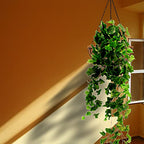 Hanging Planters Basket Outdoor Indoor(14 inch 4 Pack)-Coconut Coir Hanging Baskets for Plants Outdoor,Metal Wire Baskets with Coco Liner Window Box Planters, Hanging Flower Pots for Railings - size: 14 inch