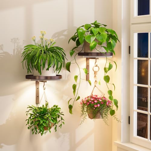 iDavosic.ly Wall Plant Holder with Grow Lights Set of 2 for Indoor Outdoor, Metal Hanger with 2 Hooks, Floating Flower Display Stand for Window, Space Saving & Easy to Assemble (Pots Not Included), Bronze - color: Bronze with Lights, size: 2 Pack