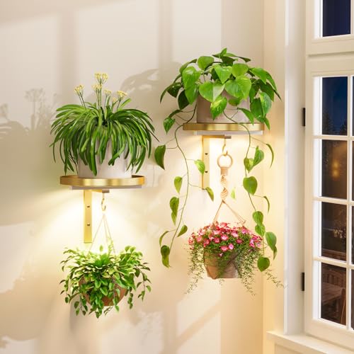 iDavosic.ly Wall Plant Holder with Grow Lights Set of 2 for Indoor Outdoor, Metal Hanger with 2 Hooks, Floating Flower Display Stand for Window, Space Saving & Easy to Assemble (Pots Not Included), Gold - color: Gold with Lights, size: 2 Pack
