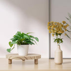 2 Pcs Wood Plant Stand Wooden Plant Stool Round Riser Display Stand Flower Pot Holder Low Plant Pot Flower Pedestal for Indoor Outdoor (Wood, 9.8 Inches)