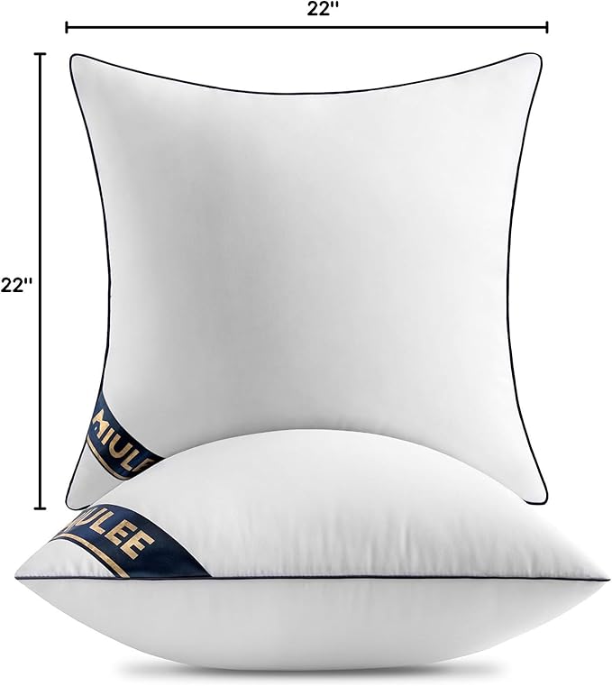 MIULEE 22x22 Pillow Inserts Set of 2 Throw Pillows 22 Inch Premium Down Alternative Pillow Inserts Decorative Pillow Stuffer for Sofa, Couch (22x22 inch, Set of 2)