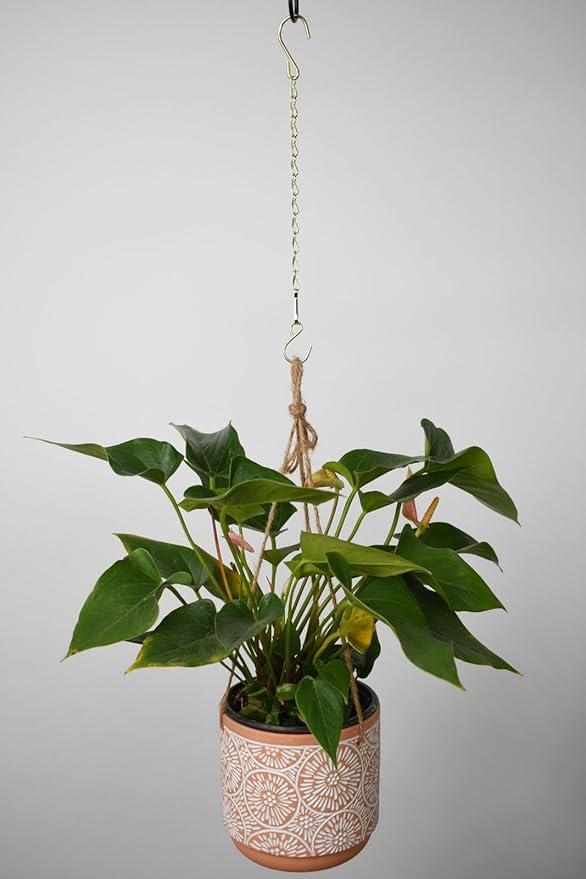 Chain for Hanging Plants,11 Inch Gold Hanging Chain, Small Basket Chain Kits with Hooks for Bird Feeder Planter Porch Wind Chime (Gold, 11 Inch-6PCS)