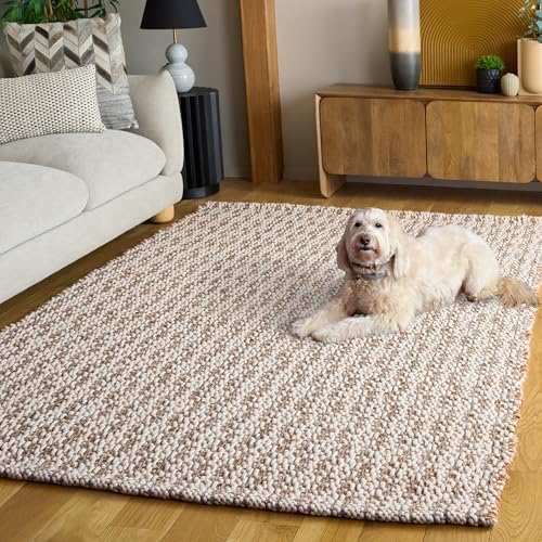 SAFAVIEH Area Rug 5x8 - Natural Fiber Collection - Natural & Grey, Handmade Jute & Wool, Ideal for Living Room, Bedroom, Dining Space (NFB225F) - color: Natural/Grey, size: 5' x 8' (Rectangular)