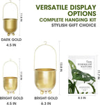 AceList Gold Hanging Planters for Indoor Plants, Set of 2-4.5 inch Metal Plant Hangers from Ceiling or Wall, Modern Boho Window Flower Pots, Pothos, Ivy - No Drainage Hole