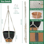 Self-Watering Hanging Planters for Indoor Plants Set 2-Piece Includes Plant Hanging Pot, Drainage-Hole Hanging Pot, and Hanging Basket Rack (10 Inches, Black)