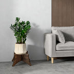 PEKER Plant Stand Indoor, Solid Wood Plant Holder for 5–9 Inch Pots, Low Planter Stand & Plant Riser for Indoor Plants, Stable Pot Stand for Home Decor, Single Wooden Plant Holder