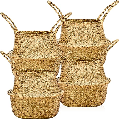 Qunclay 4 Pcs Woven Seagrass Baskets Belly Basket Folding Boho Natural Plant Pot with Handles Round Decorative Wicker Large Indoor Planter for Home Outdoor Tree Planters Decor (L,13''dx11''h) - size: L,13''Dx11''H