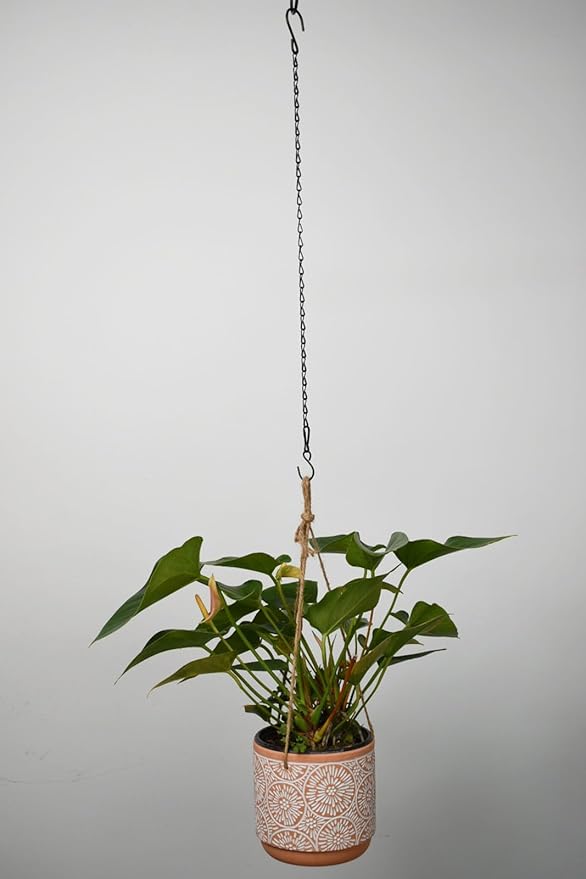 Chain for Hanging Plants,21 Inch Black Hanging Chain, Small Hanging Basket Chain Kits with Hooks for Bird Feeder Hanging Basket Extender Porch Wind Chime (Black, 21 Inch-6PCS)