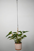 Chain for Hanging Plants,21 Inch Black Hanging Chain, Small Hanging Basket Chain Kits with Hooks for Bird Feeder Hanging Basket Extender Porch Wind Chime (Black, 21 Inch-6PCS)