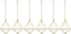 Air Plants Live Holders 6 Pcs Glod Diamond Hanging Planter Small Air Plant Holders Unique with Chains Air Ferns Tillandsia Display for Indoor