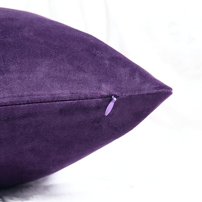 2 Pack Soft Velvet Couch Throw Pillow Covers 16x16 Inch for Sofa Living Room Bedroom (Purple)
