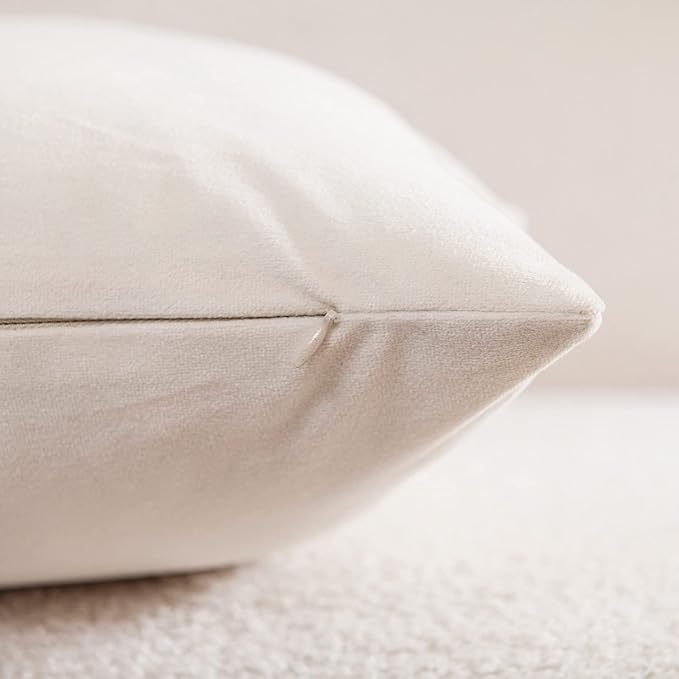 Euro Sham Covers 24x24 Cream: Pack of 2 Cozy Soft Velvet Square Modern Luxury Decorative Throw Pillow Cases for Sofa Couch Living Room Bed Home Decor