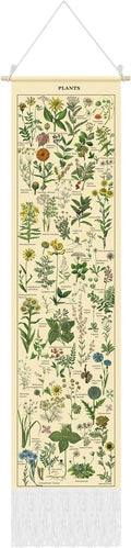 Tegeme Vintage Tapestry 52 x 13 Inch, Long Vertical Wall Hanging Reference Illustrative Botanical Tassel Tapestry for Bedroom Living Room Home Decoration(Plants)