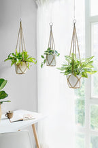 Dahey Macrame Plant Hanger Set of 3 and 2 with Hooks Indoor Hanging Planter Basket 35"/29"/23" Handmade Woven Cotton Rope Flower Plant Holder for Boho Home Decor
