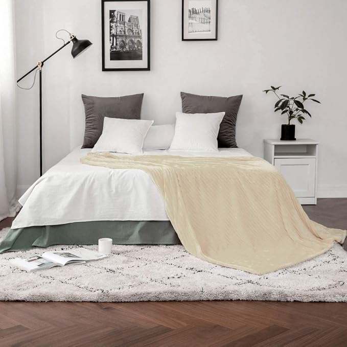 MIULEE Fleece Throw Blanket with Stripe Pattern Fuzzy Flannel Beige Blanket for Couch Plush Warm Cozy Bed Blanket Boho Decor for Bed Sofa Chair Twin Size 60"x80"