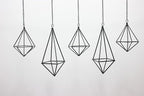 Tillandsia Air Plant Holder Black Geometric Hanging Air Plant Holders Unique for Wall Decor Xerographica Air Plant Hanger for Indoor Decor Himmeli Geometric Decor (5Pcs)