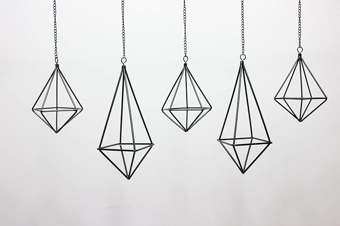 Tillandsia Air Plant Holder Black Geometric Hanging Air Plant Holders Unique for Wall Decor Xerographica Air Plant Hanger for Indoor Decor Himmeli Geometric Decor (5Pcs)