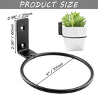6 Pack 4 inch Flower Pot Holder Ring, Flower Pot Holder Ring Wall Mounted Set Wall Mounted Metal Planter Hanger Matte Black Hanging Plant Holders