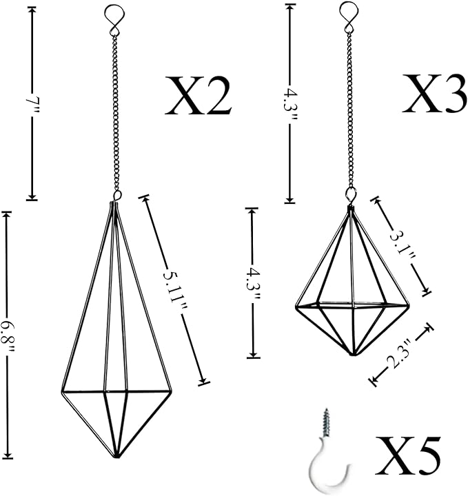 Tillandsia Air Plant Holder Black Geometric Hanging Air Plant Holders Unique for Wall Decor Xerographica Air Plant Hanger for Indoor Decor Himmeli Geometric Decor (5Pcs)