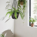 Large Macrame Plant Hanger Black 43 Inch Long for up to 12 Inch Pot No Tassel Cotton Rope Hanging Basket Plant Holder with Heavy Duty Ceiling Hooks