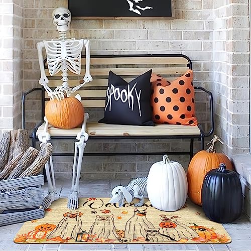 Halloween Fall Door Mat,Halloween Ghost Dogs Pumpkin Outdoor Mats for Front Door,Halloween Indoor Entrance Non-Slip Doormat,Fall Entryway Welcome Rubber Mats for Front Porch Decor 30" x 17" - color: Halloween Ghost Dogs