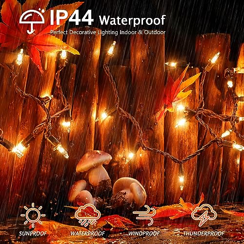 YOUNGAR 13FT 50 Clear Christmas Lights Outdoor, Approved Christmas Tree Lights with Brown Wire, Incandescent Mini Light Plug in for Indoor Outdoor Tree Patio Garden Xmas Decor - color: Warm White, Brown Wire, size: 50 Count 1Pack