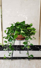 Midcentury Modern Metal Potted Plant Stand 18.7 inches Tall Flower Pot Holder Large Rustproof Iron Garden Container Heavy Duty Rack for Planter,Black (18.7 inches Tall Black)
