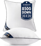 MIULEE 20x20 Pillow Inserts Set of 2 Throw Pillows 20 Inch Premium Down Alternative Pillow Inserts Decorative Pillow Stuffer for Sofa, Couch (20x20 inch, Set of 2)